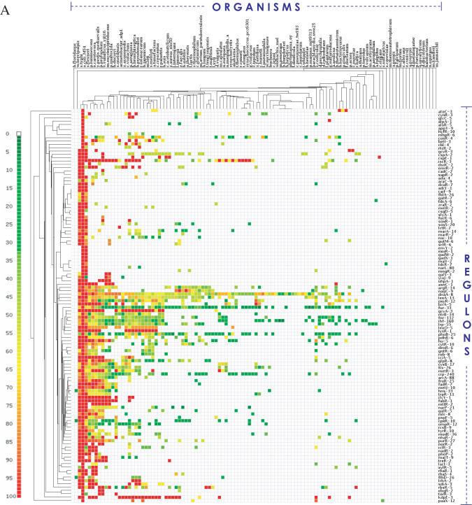https://cdn.ncbi.nlm.nih.gov/pmc/blobs/4309/1524901/49c7bca1fecd/gkl423f4a.jpg