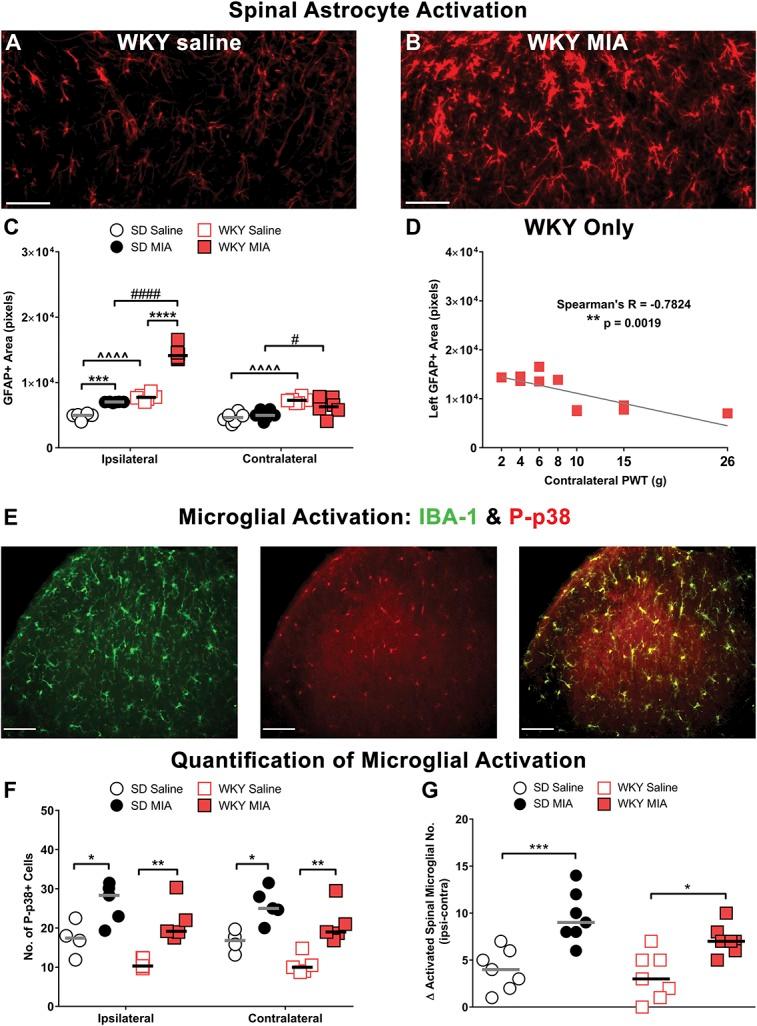 https://cdn.ncbi.nlm.nih.gov/pmc/blobs/4309/6407811/0ed72564ab23/jop-160-658-g006.jpg
