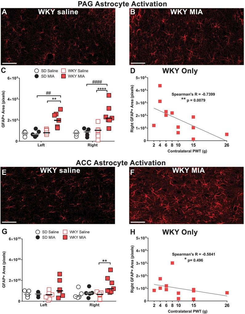 https://cdn.ncbi.nlm.nih.gov/pmc/blobs/4309/6407811/6a1ad4c71e03/jop-160-658-g007.jpg