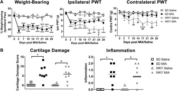 https://cdn.ncbi.nlm.nih.gov/pmc/blobs/4309/6407811/72677a0d4db4/jop-160-658-g004.jpg