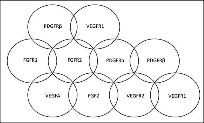 https://cdn.ncbi.nlm.nih.gov/pmc/blobs/430a/7848830/45a99327dc70/CEJU-73-0189-g002.jpg