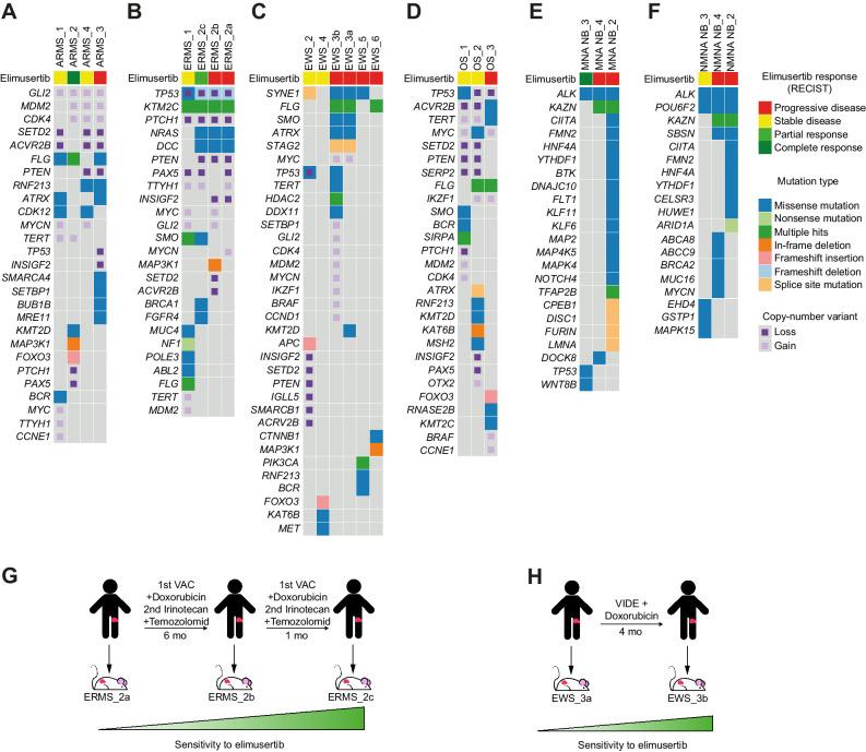 https://cdn.ncbi.nlm.nih.gov/pmc/blobs/430b/10985474/595f7d2df7d5/507fig6.jpg