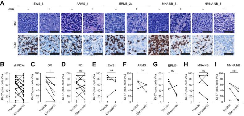 https://cdn.ncbi.nlm.nih.gov/pmc/blobs/430b/10985474/8f56ebfe003c/507fig4.jpg