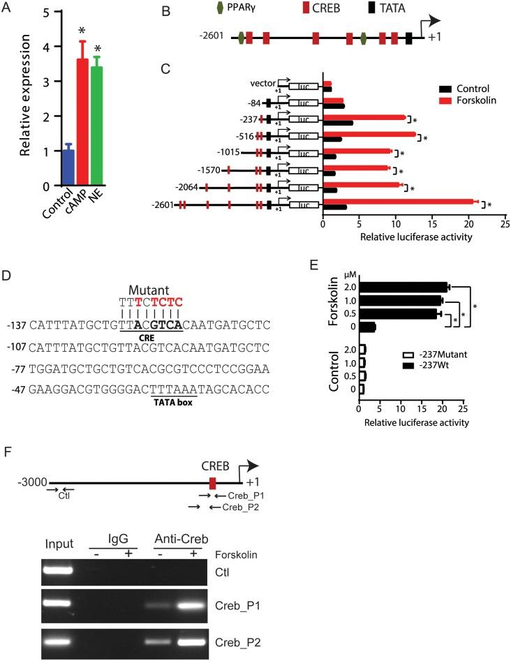 https://cdn.ncbi.nlm.nih.gov/pmc/blobs/430d/5538645/d7bebf7d5f48/pbio.2002176.g005.jpg