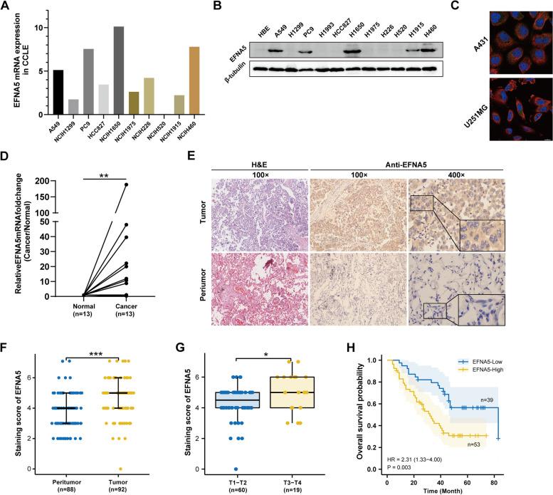 https://cdn.ncbi.nlm.nih.gov/pmc/blobs/430f/9364540/f9712b997ecd/12885_2022_9951_Fig8_HTML.jpg