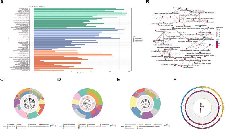 https://cdn.ncbi.nlm.nih.gov/pmc/blobs/4310/10777556/5b86644aa169/12884_2023_6215_Fig2_HTML.jpg