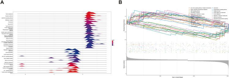https://cdn.ncbi.nlm.nih.gov/pmc/blobs/4310/10777556/d87031e77364/12884_2023_6215_Fig4_HTML.jpg