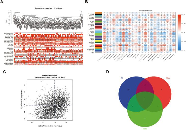 https://cdn.ncbi.nlm.nih.gov/pmc/blobs/4310/10777556/ddbd191e2114/12884_2023_6215_Fig6_HTML.jpg