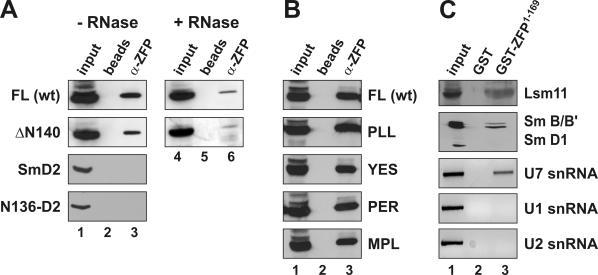 https://cdn.ncbi.nlm.nih.gov/pmc/blobs/4316/1075925/ffb157688770/gki516f4.jpg