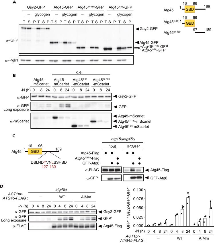 https://cdn.ncbi.nlm.nih.gov/pmc/blobs/4317/11145338/05938474ea86/gr5.jpg