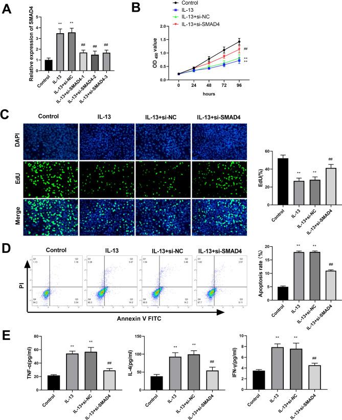 https://cdn.ncbi.nlm.nih.gov/pmc/blobs/431b/11622552/76b5c491c826/12931_2024_3052_Fig3_HTML.jpg