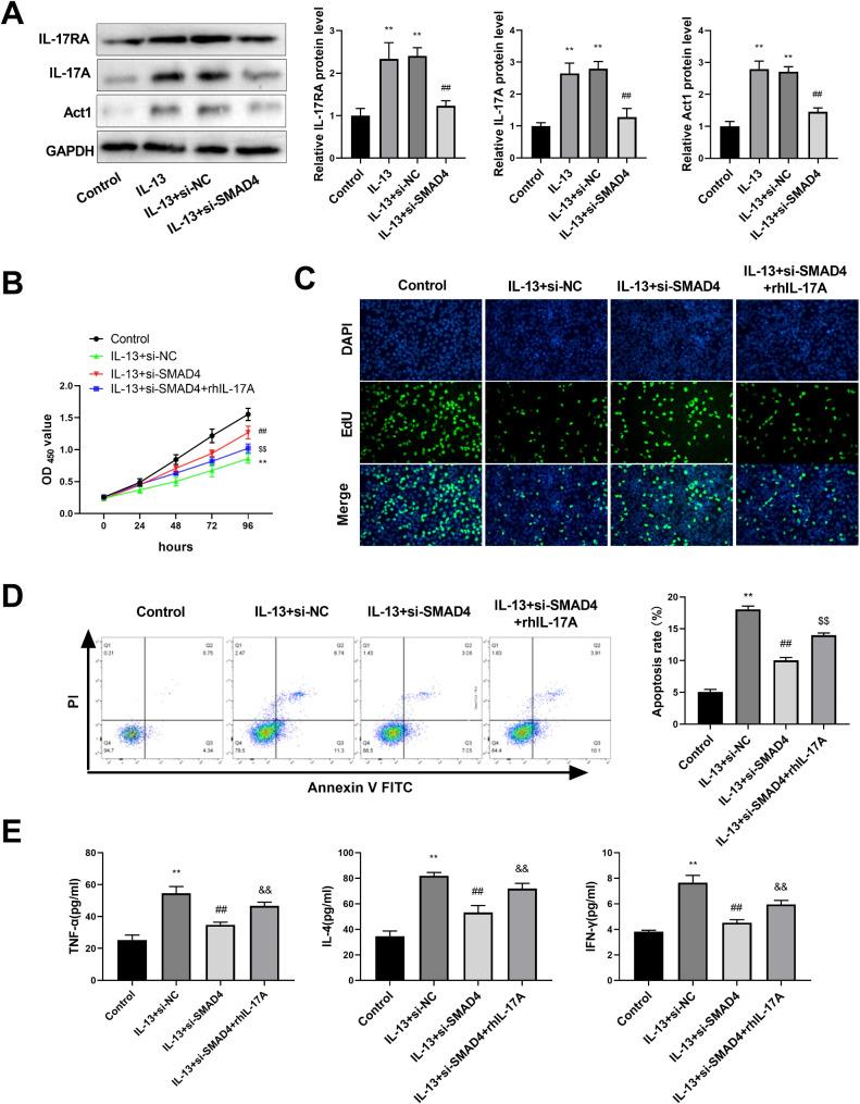 https://cdn.ncbi.nlm.nih.gov/pmc/blobs/431b/11622552/875540716c1b/12931_2024_3052_Fig6_HTML.jpg