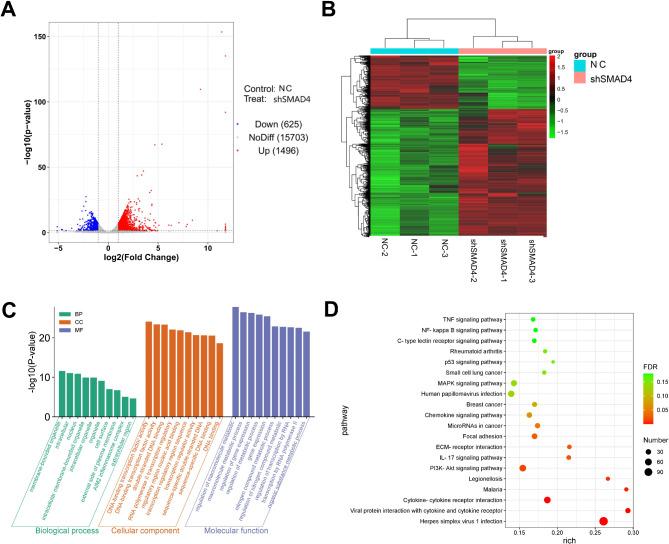 https://cdn.ncbi.nlm.nih.gov/pmc/blobs/431b/11622552/ff2daad385f9/12931_2024_3052_Fig5_HTML.jpg