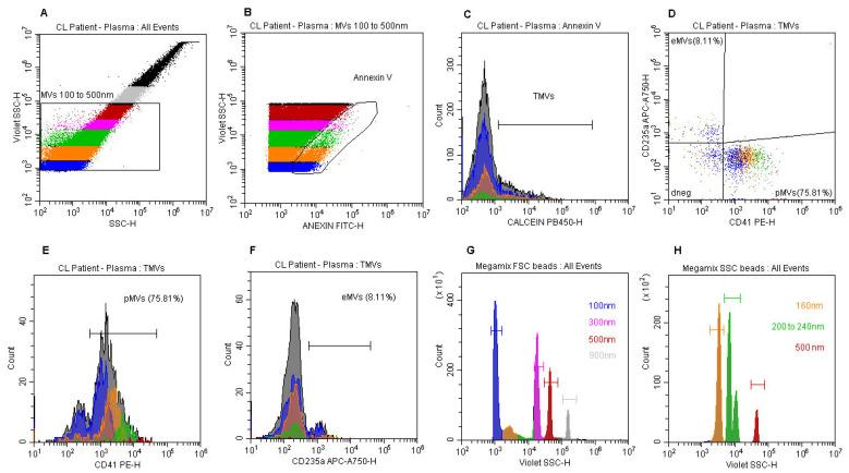 https://cdn.ncbi.nlm.nih.gov/pmc/blobs/431c/10975300/0ffcf7cfdf2d/microorganisms-12-00526-g001.jpg