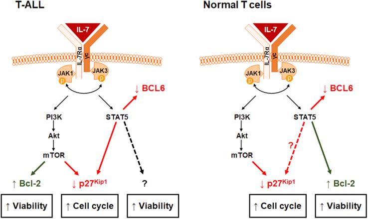 https://cdn.ncbi.nlm.nih.gov/pmc/blobs/431e/6386770/3baccec5d3aa/gr1.jpg