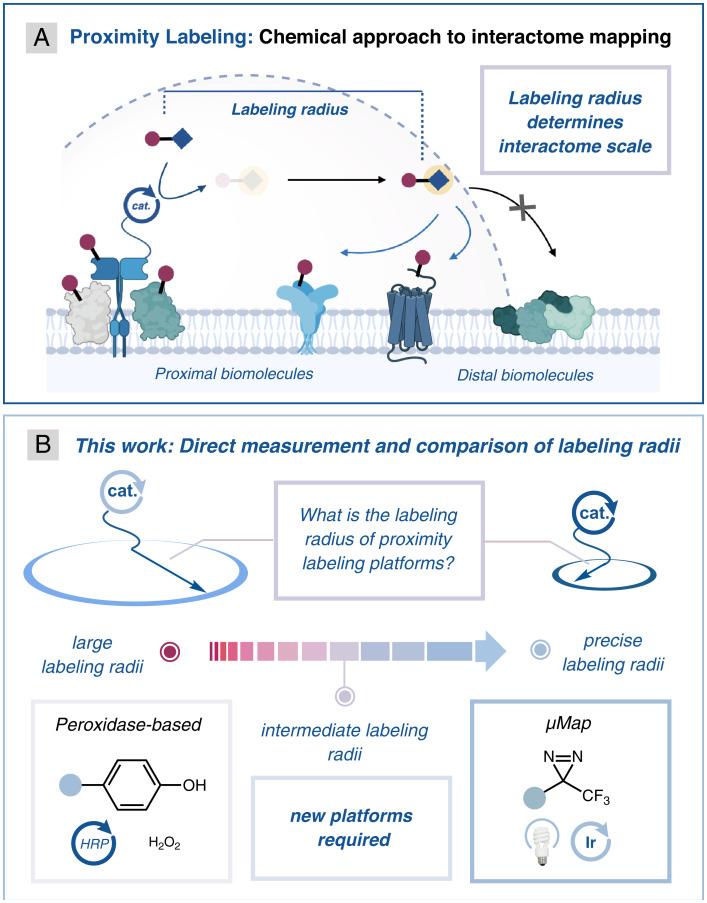 https://cdn.ncbi.nlm.nih.gov/pmc/blobs/431e/9371666/3b59be2a95f2/pnas.2203027119fig01.jpg