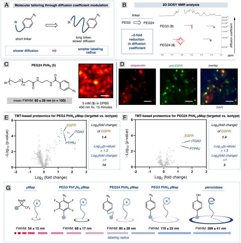https://cdn.ncbi.nlm.nih.gov/pmc/blobs/431e/9371666/b958bd52c2c0/pnas.2203027119fig04.jpg