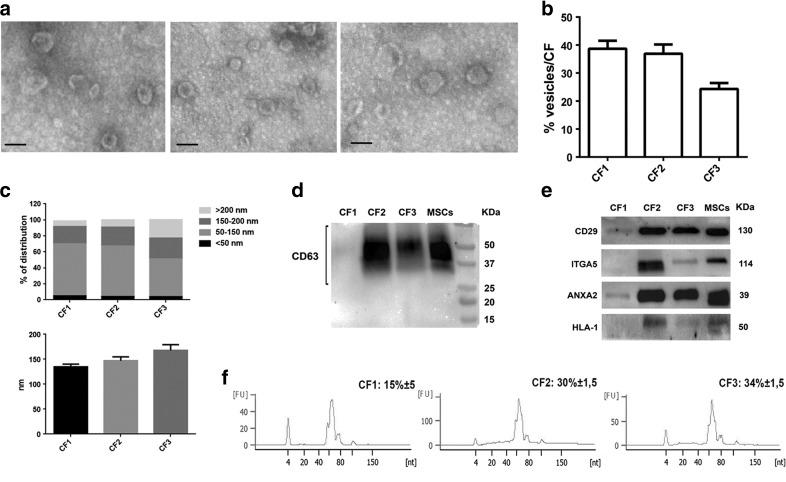 https://cdn.ncbi.nlm.nih.gov/pmc/blobs/4321/5380712/863e7a56efba/12015_2016_9713_Fig4_HTML.jpg