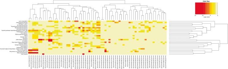 https://cdn.ncbi.nlm.nih.gov/pmc/blobs/4321/5380712/ffe8de467cb0/12015_2016_9713_Fig6_HTML.jpg