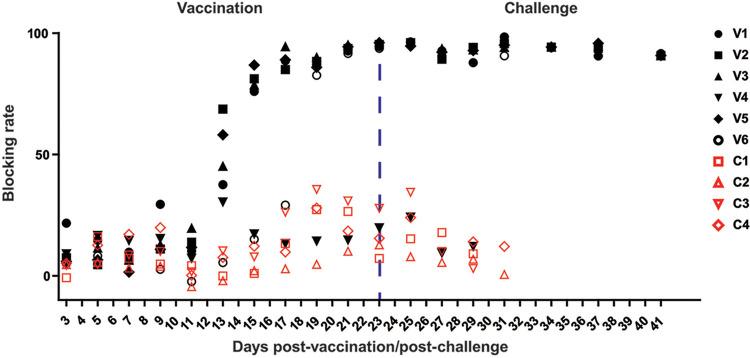 https://cdn.ncbi.nlm.nih.gov/pmc/blobs/4327/9327683/d66bf1e6f742/jvi.00329-22-f006.jpg