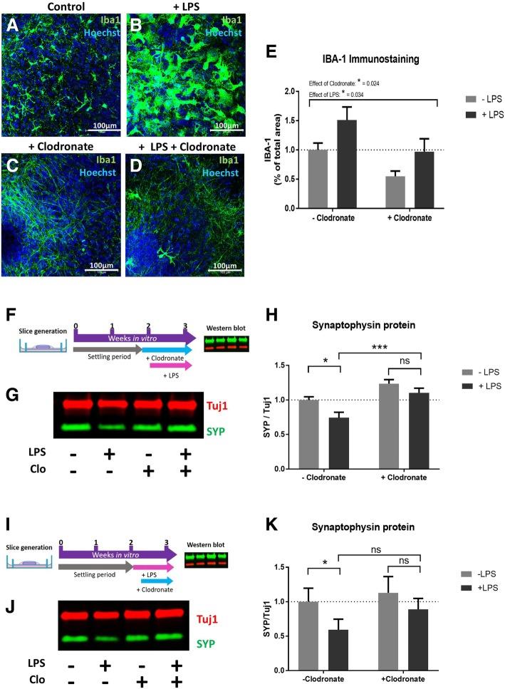 https://cdn.ncbi.nlm.nih.gov/pmc/blobs/4329/6525970/bb4e41e11a1c/12974_2019_1490_Fig2_HTML.jpg