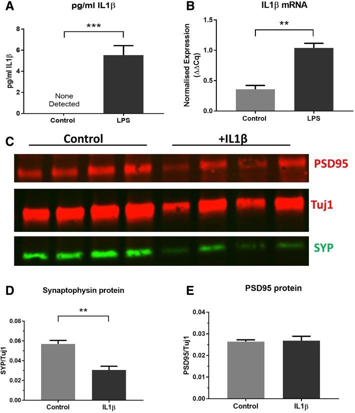 https://cdn.ncbi.nlm.nih.gov/pmc/blobs/4329/6525970/c80d2b84395a/12974_2019_1490_Fig3_HTML.jpg