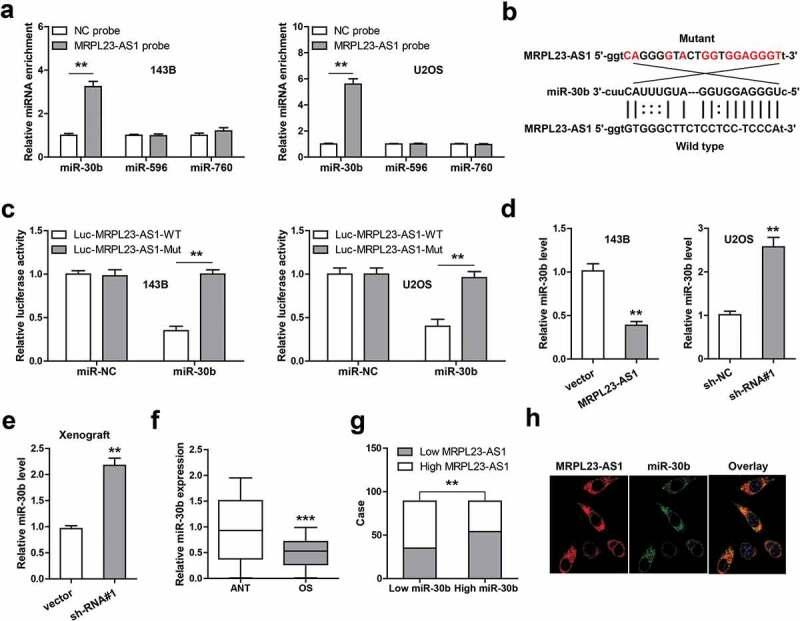 https://cdn.ncbi.nlm.nih.gov/pmc/blobs/4329/8806232/64476fa737be/KBIE_A_1863014_F0003_OC.jpg