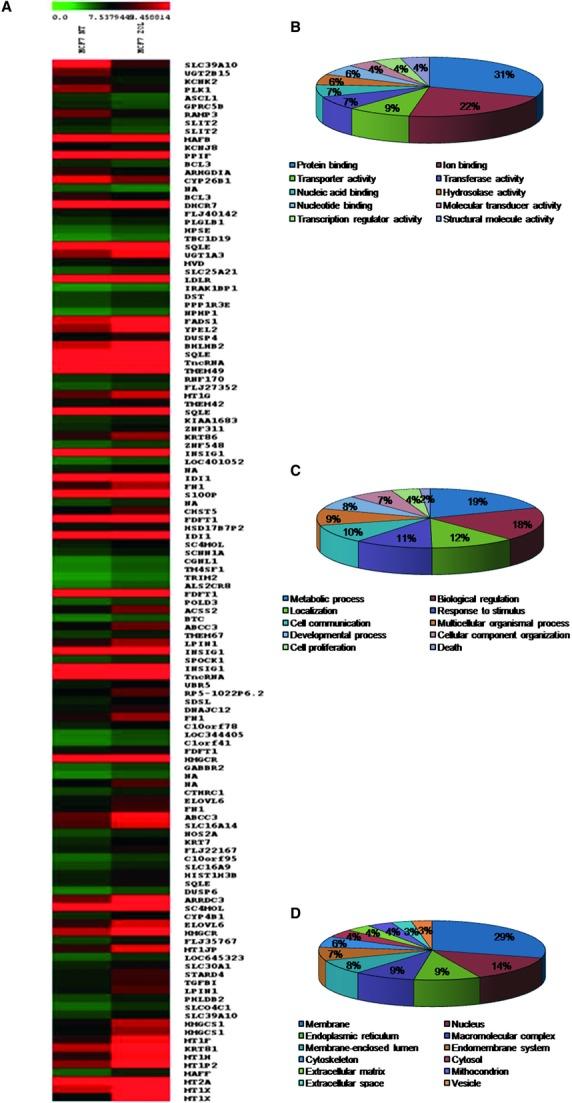 https://cdn.ncbi.nlm.nih.gov/pmc/blobs/432a/3822988/adc631d8f2bd/jcmm0016-2186-f3.jpg