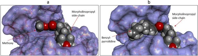 https://cdn.ncbi.nlm.nih.gov/pmc/blobs/432d/10859377/5d4c2a62f181/41598_2024_54080_Fig5_HTML.jpg