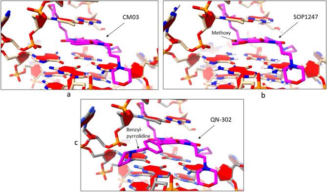 https://cdn.ncbi.nlm.nih.gov/pmc/blobs/432d/10859377/799de8da7999/41598_2024_54080_Fig4_HTML.jpg