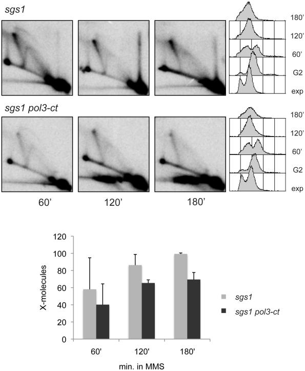 https://cdn.ncbi.nlm.nih.gov/pmc/blobs/432e/2978687/5aa11b53bda1/pgen.1001205.g007.jpg