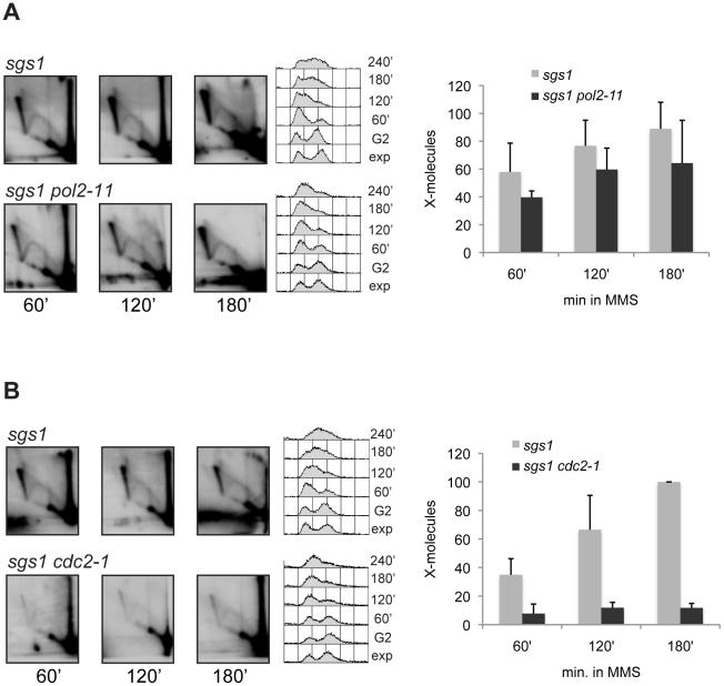 https://cdn.ncbi.nlm.nih.gov/pmc/blobs/432e/2978687/9d3fadafaea7/pgen.1001205.g006.jpg