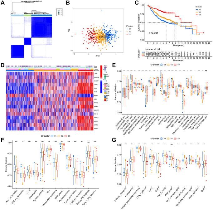 https://cdn.ncbi.nlm.nih.gov/pmc/blobs/432e/9467413/02b029a48f4f/aging-14-204244-g005.jpg