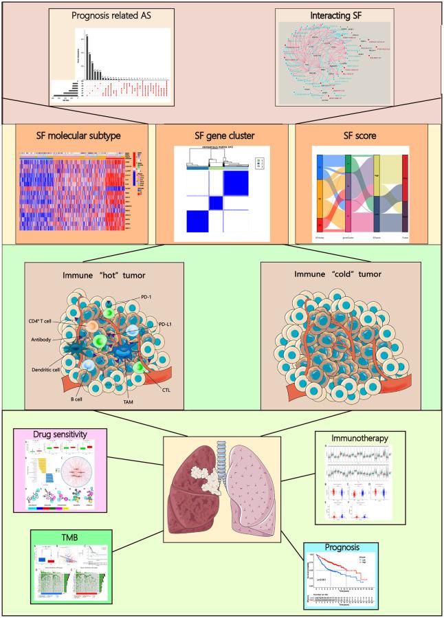 https://cdn.ncbi.nlm.nih.gov/pmc/blobs/432e/9467413/6f8c348287a6/aging-14-204244-g001.jpg