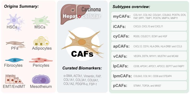 https://cdn.ncbi.nlm.nih.gov/pmc/blobs/432f/12313705/6cd20dd7daa5/fimmu-16-1620075-g001.jpg