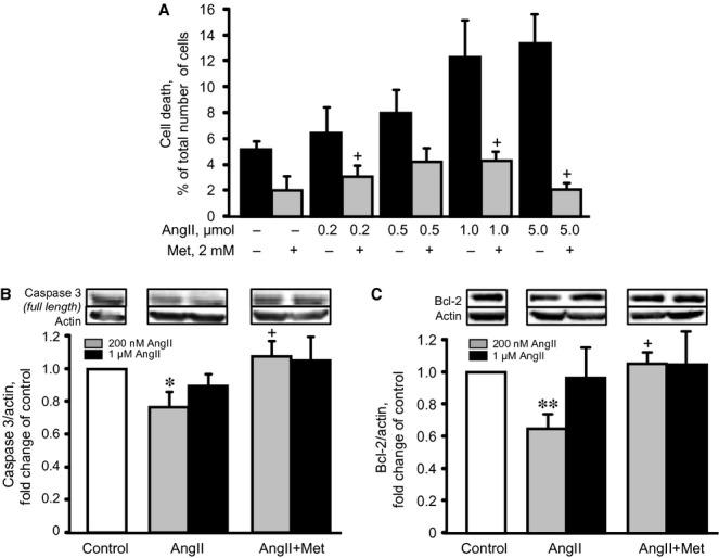 https://cdn.ncbi.nlm.nih.gov/pmc/blobs/4330/4000121/0b1fb8f908b5/jcmm0018-0709-f2.jpg