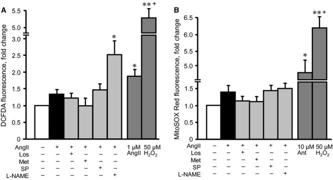 https://cdn.ncbi.nlm.nih.gov/pmc/blobs/4330/4000121/72531ccdfbeb/jcmm0018-0709-f8.jpg
