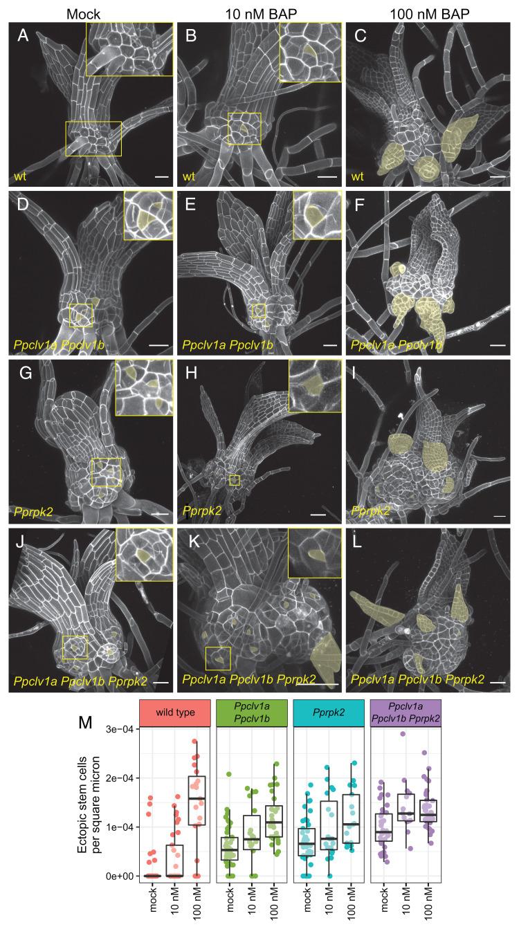 https://cdn.ncbi.nlm.nih.gov/pmc/blobs/4330/9168927/af3e1dd9f622/pnas.2116860119fig03.jpg