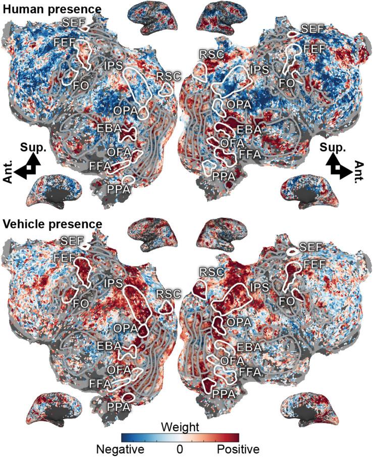 https://cdn.ncbi.nlm.nih.gov/pmc/blobs/4331/8145286/ead5d88f31f8/fnins-14-565976-g002.jpg