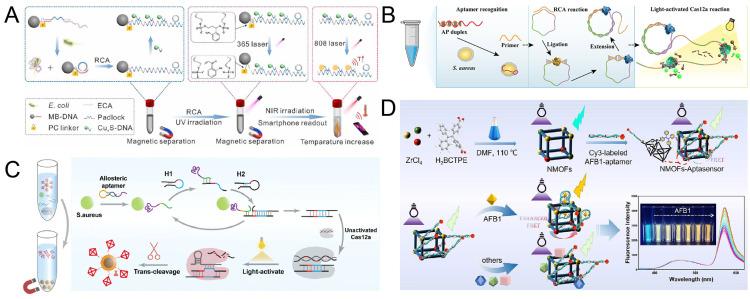 https://cdn.ncbi.nlm.nih.gov/pmc/blobs/4332/12190585/f7ec862f2db3/biosensors-15-00336-g004.jpg