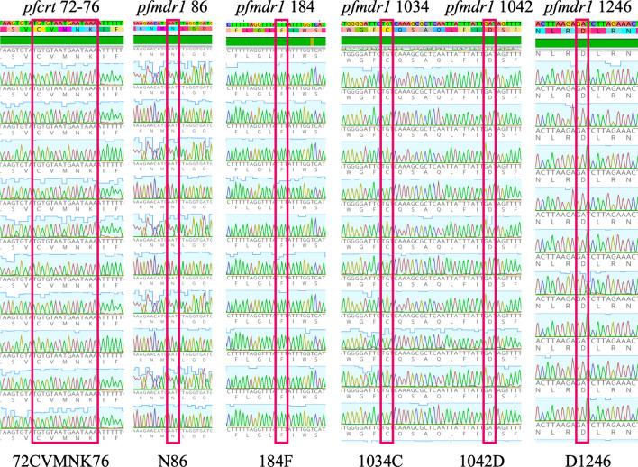 https://cdn.ncbi.nlm.nih.gov/pmc/blobs/4332/8670165/eac9c04d103d/12936_2021_3977_Fig3_HTML.jpg