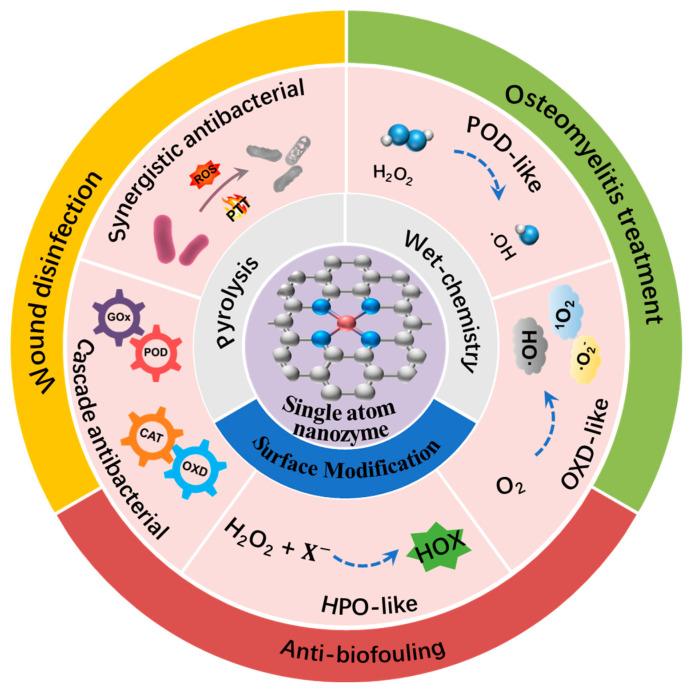 https://cdn.ncbi.nlm.nih.gov/pmc/blobs/4333/10609188/48ef6119907b/nanomaterials-13-02760-sch001.jpg