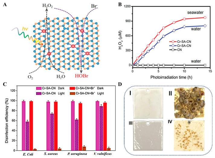 https://cdn.ncbi.nlm.nih.gov/pmc/blobs/4333/10609188/4b8f4ac0a1fd/nanomaterials-13-02760-g012.jpg