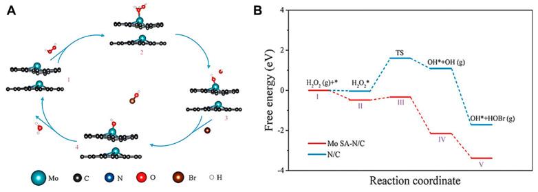https://cdn.ncbi.nlm.nih.gov/pmc/blobs/4333/10609188/884831554f42/nanomaterials-13-02760-g006.jpg