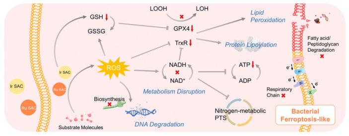 https://cdn.ncbi.nlm.nih.gov/pmc/blobs/4333/10609188/93f9b61966f7/nanomaterials-13-02760-g004.jpg