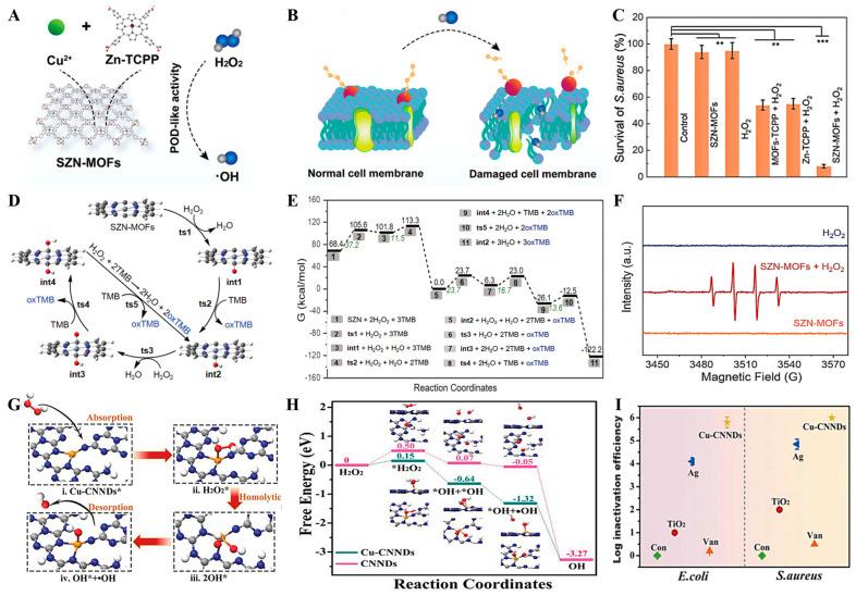https://cdn.ncbi.nlm.nih.gov/pmc/blobs/4333/10609188/9c2fe3ce5469/nanomaterials-13-02760-g003.jpg