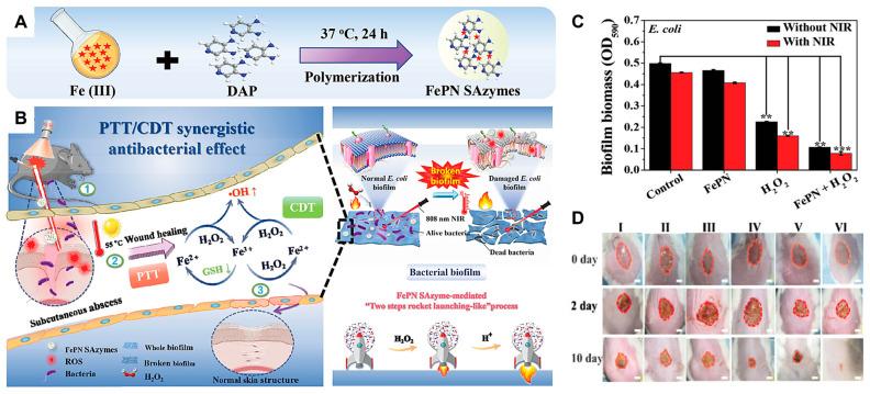 https://cdn.ncbi.nlm.nih.gov/pmc/blobs/4333/10609188/ae4633bc584f/nanomaterials-13-02760-g010.jpg
