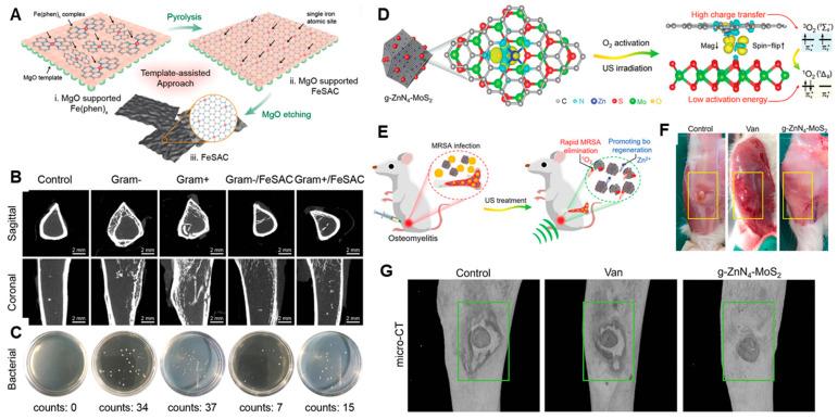 https://cdn.ncbi.nlm.nih.gov/pmc/blobs/4333/10609188/fbe18314f1ee/nanomaterials-13-02760-g011.jpg