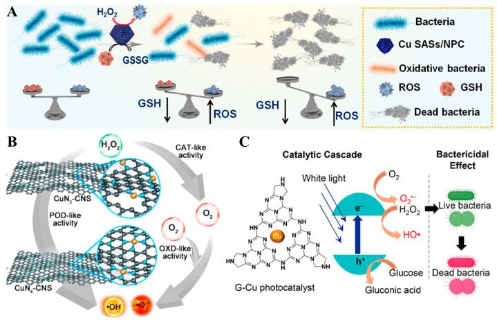 https://cdn.ncbi.nlm.nih.gov/pmc/blobs/4333/10609188/fec6ef7e13e3/nanomaterials-13-02760-g007.jpg