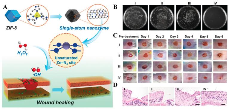 https://cdn.ncbi.nlm.nih.gov/pmc/blobs/4333/10609188/ffe295b342a5/nanomaterials-13-02760-g009.jpg